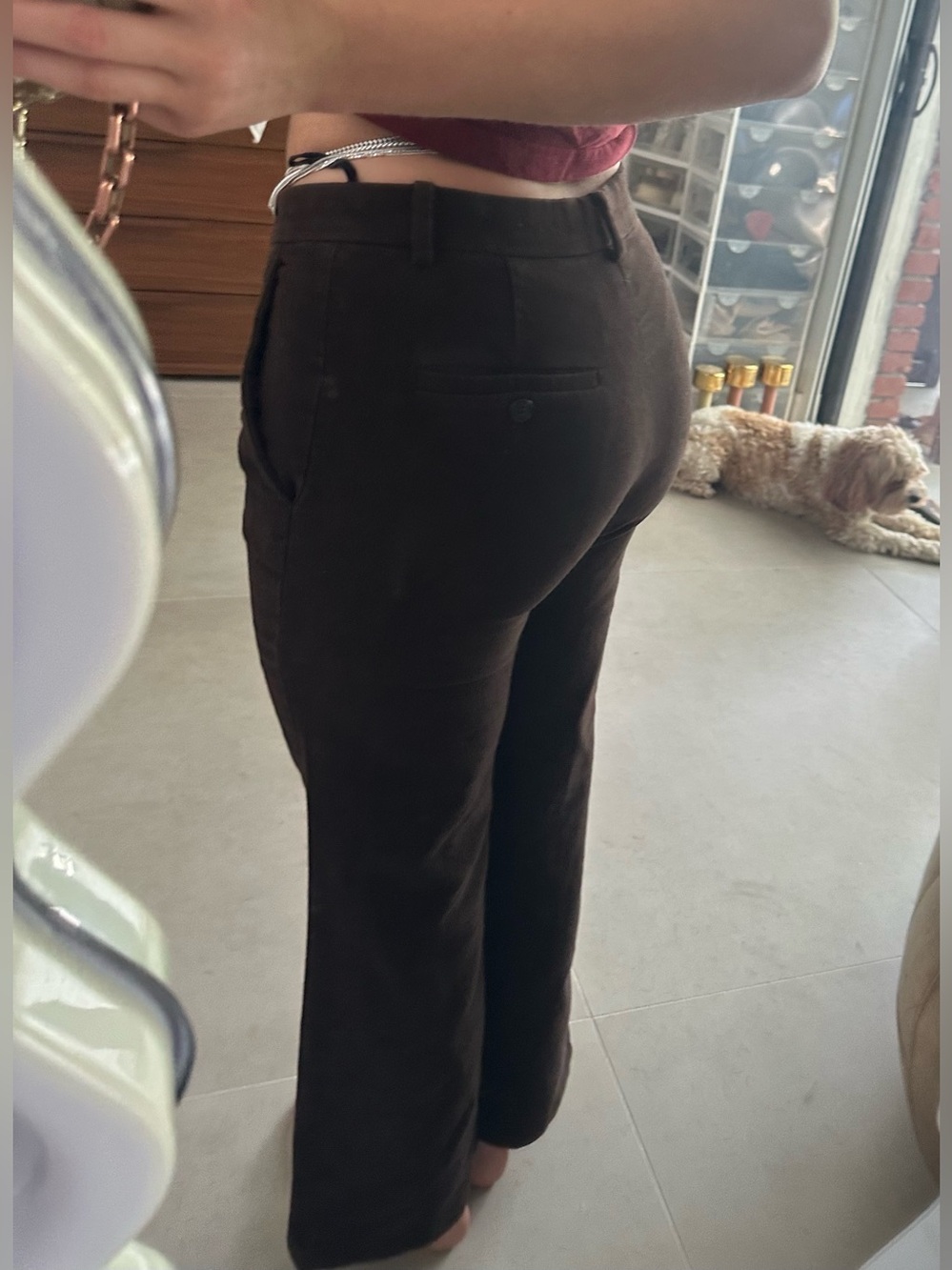 Miu Miu chocolate faux suede dress pants